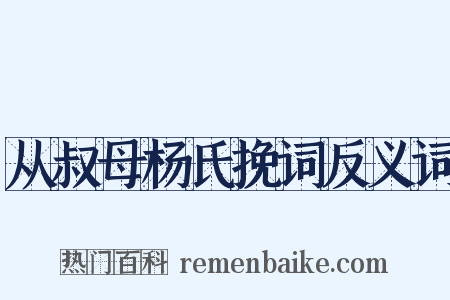 从叔母杨氏挽词反义词是什么意思的图片